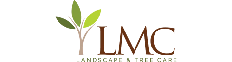 Logo_LMC